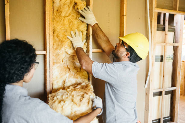 Types of Insulation We Offer in Albany, LA