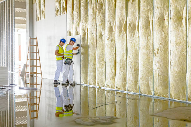 Best Insulation for New Construction  in Albany, LA